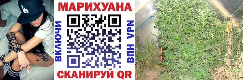 Конопля THC 21% Козельск